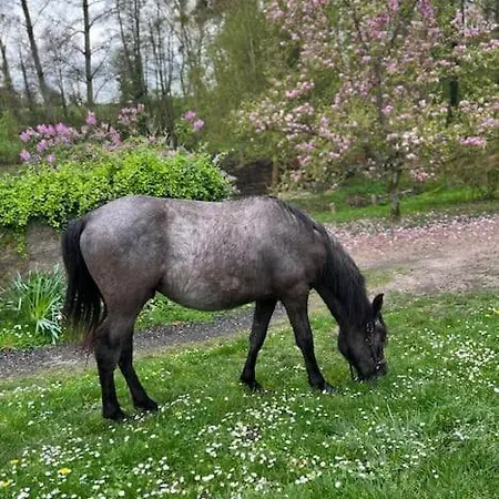 Jolie Maison Pleine De Charme